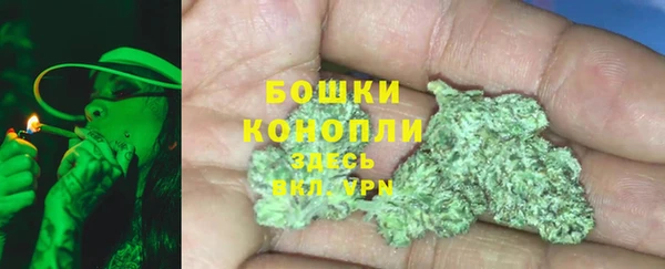 прущие грибы Новозыбков