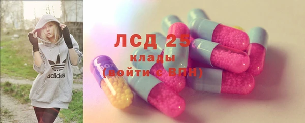 прущие грибы Новозыбков