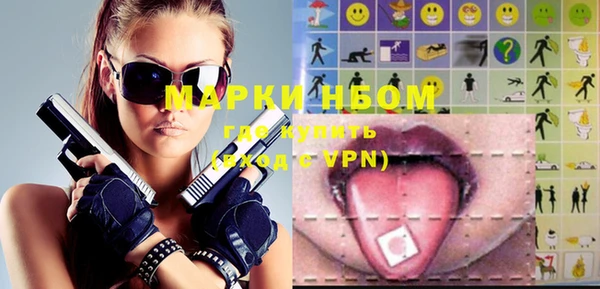 прущие грибы Новозыбков