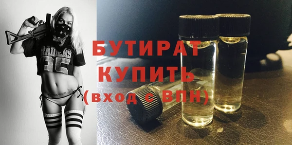 прущие грибы Новозыбков
